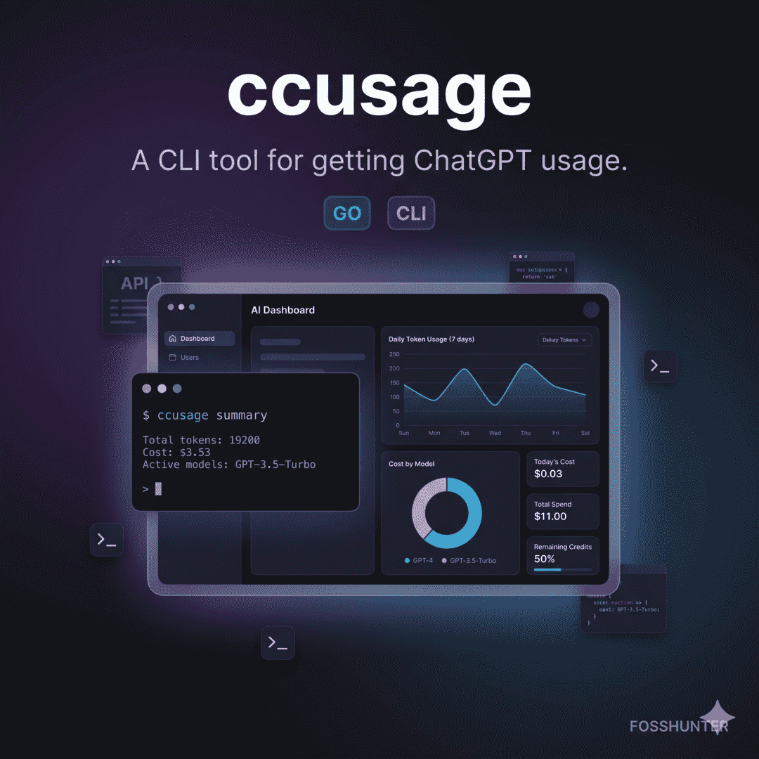 Ccusage