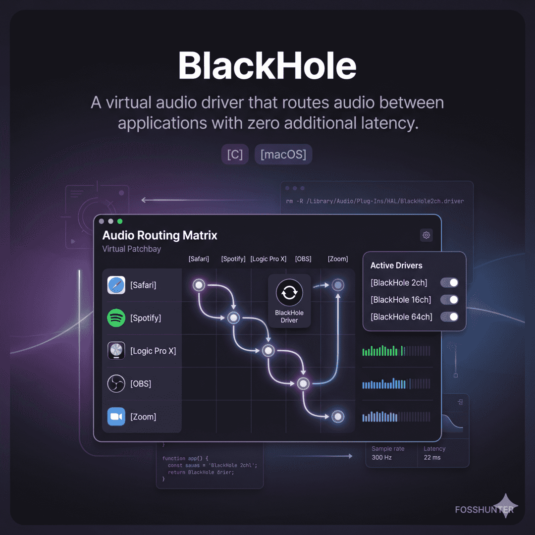 Black Hole